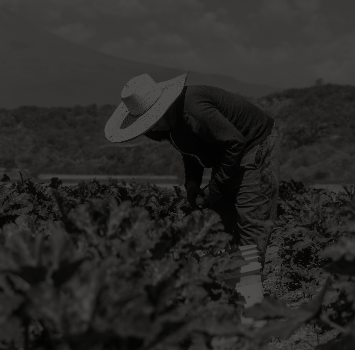 Other Ways to Protect Workers from Heat